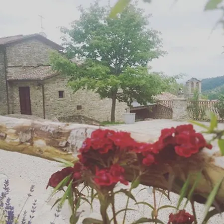 Farm stay Il Cantuccio San Giustino